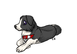 floppy_border_collie_by_piexie-d45zmfv.png