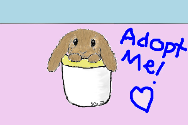 Adopt a bunny in a cup! (Prices lowered)