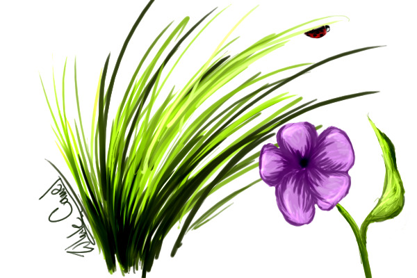 Ladybug Speed Drawing