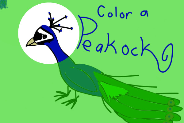 Color a Peakock