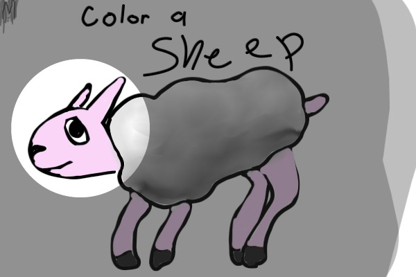 Color a Sheep