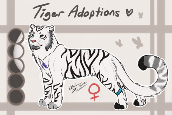 Tiger Adopt #12 !WINNER ANNOUNCED!