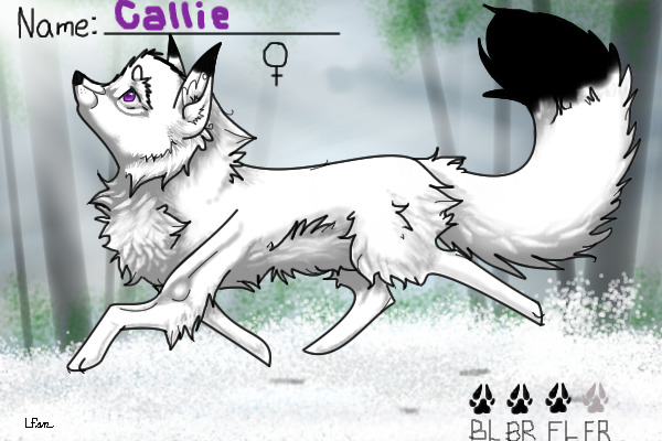 New Character - Callie [Help?]