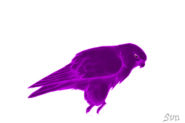 Purple Glowing Falcon