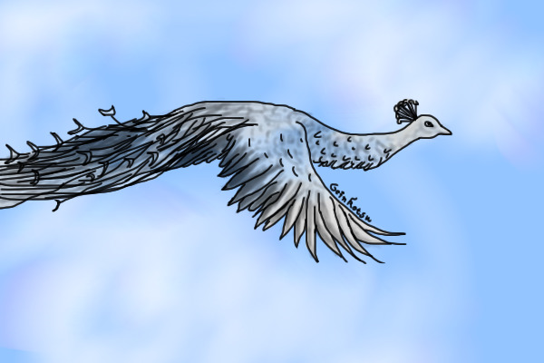 Cloud Phoenix/Peacock
