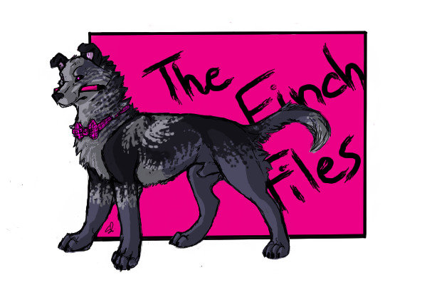 The Finch Files Banner