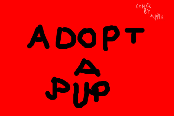 adopt a pup