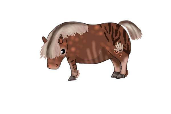 Chub Horse for adoption 1