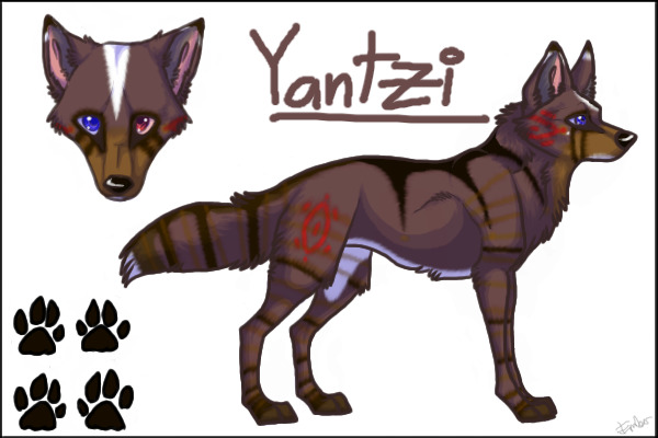 Yantzi