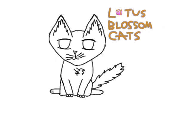 Lotus Blossom Cats adoption center! You can get a cat now!