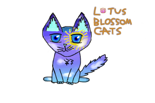 New Lotus Blossom Cat up for adoption!