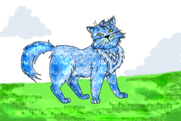 Blue sky cat