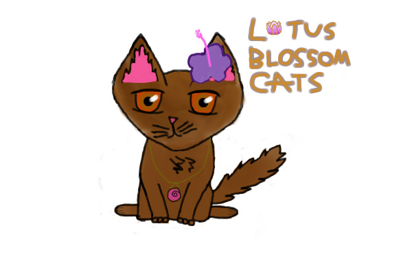 A new Lotus Blossom Cat up for adoption!
