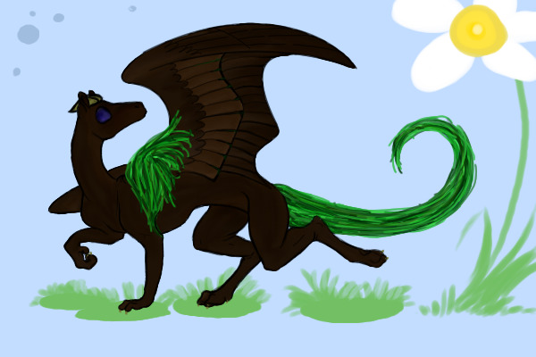 Weeping Willow Teacup Dragon
