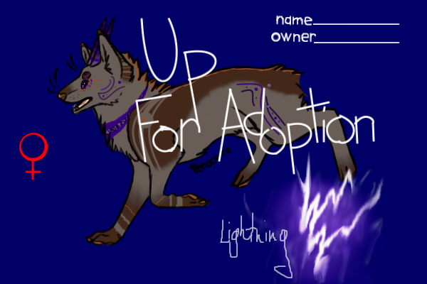 #3 Up for Adoption