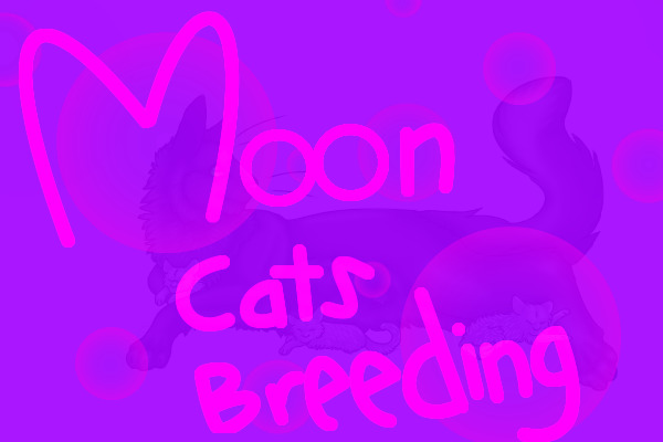 Moon Cat Breeding