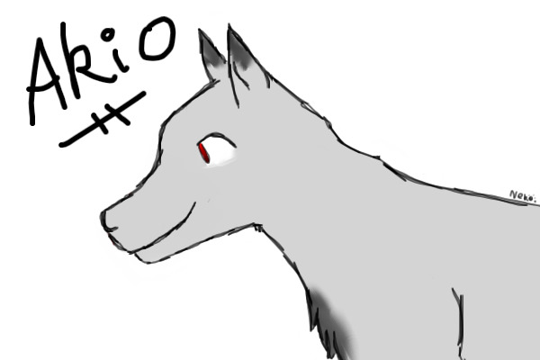 Akio as a wolf