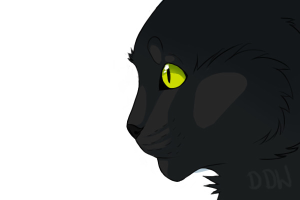 To lazy to make a black cat for ~Just Imagine~