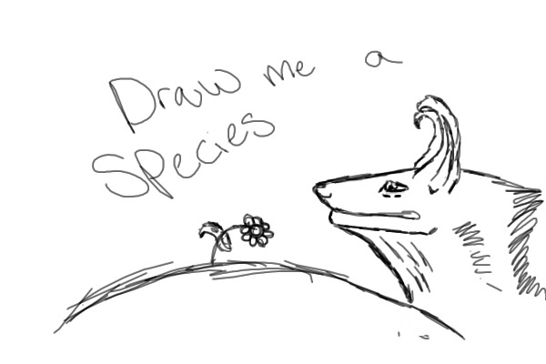 draw me a species