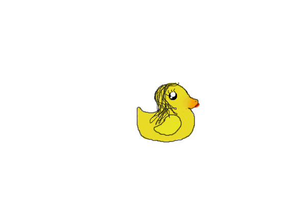 Another duck.