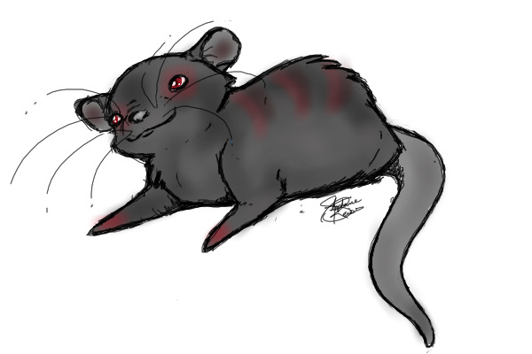 Mouse/Rat