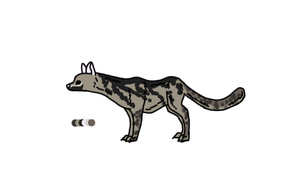 Spotted Genet #1
