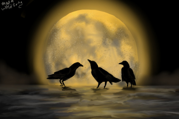Midnight Birds.