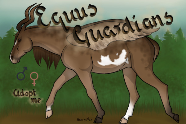 Equus Guardians Adoptables