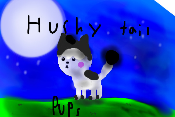 Hushy tails pups: HUSKIES!