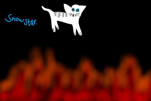 Snowstar Scared of Fire