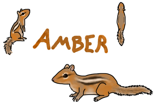 Amber the Chipmunk