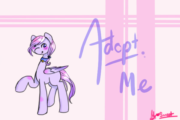 Purple Pegasus - Adopted