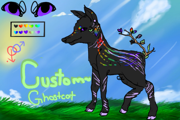 { BOD #2 - Custom ~ [ghostcat]
