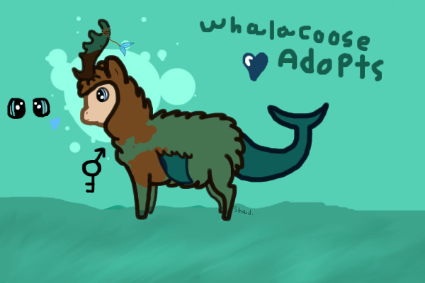 Whalacoose Adoptions!