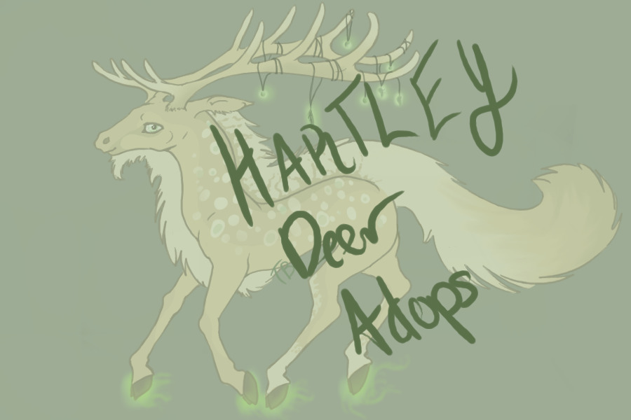 Hartley Deer Adopts! open, sort of