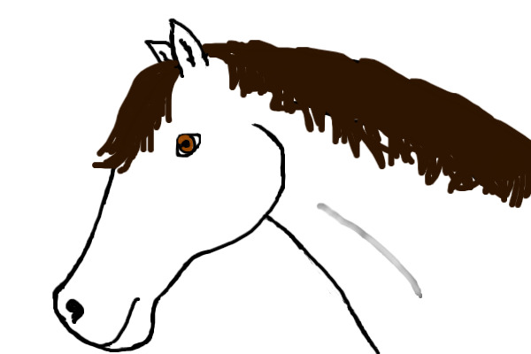 It's A Horse