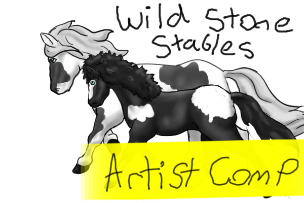 WildStone Artist comp