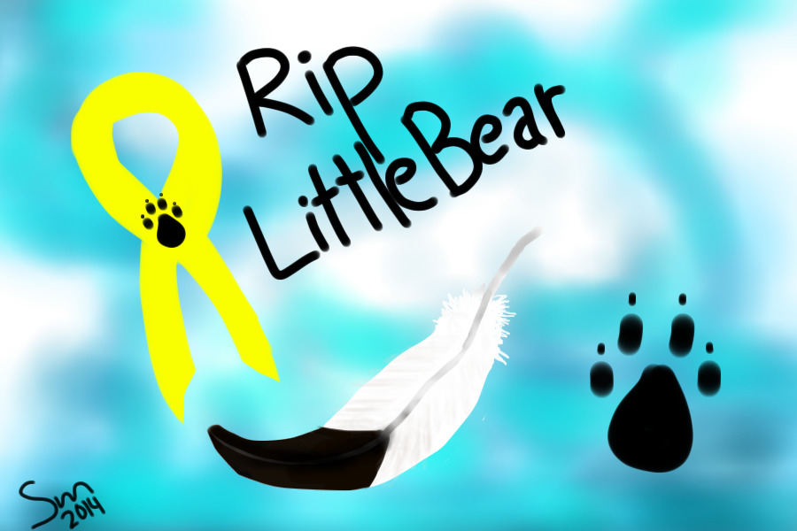 RIP LittleBear, I Love you Always