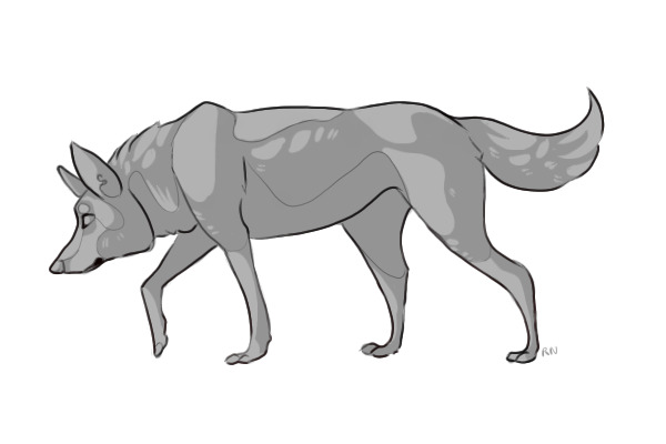 WOLF [colour-in]