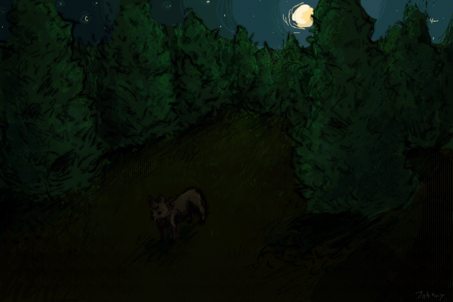 doggy in forest idk *shrug*