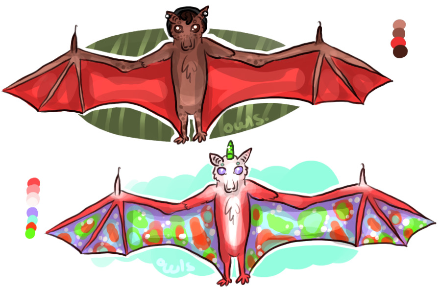 Flying Fox Bats for Adoption