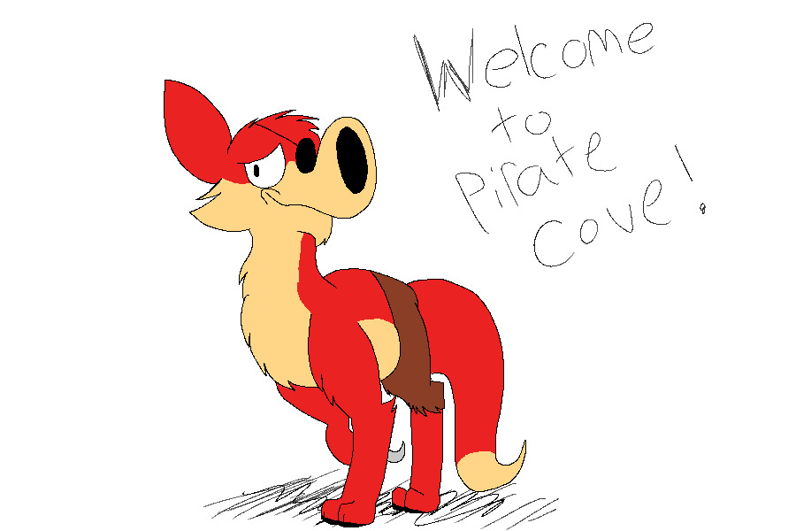 Welcome to the Pirate's Cove