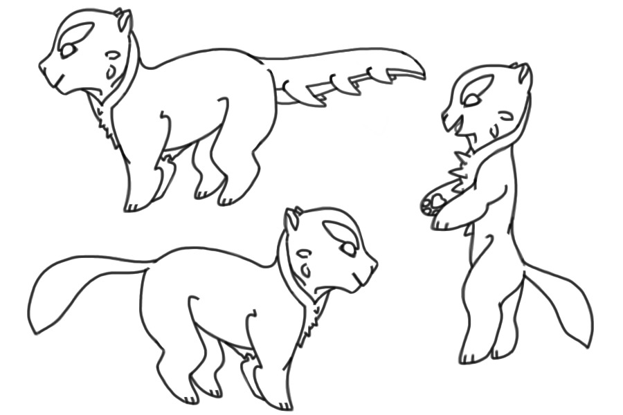 cat tail vs dragon tail