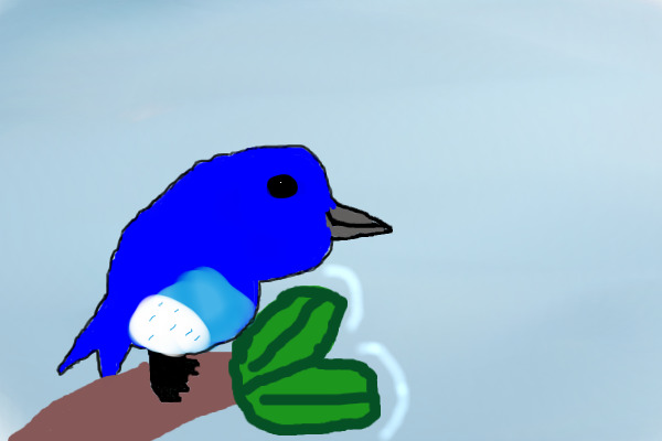 Blue bird (help apreciated)