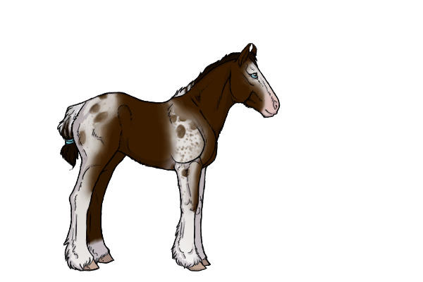 PR Breeding Artist Comp Entry #1 Foal
