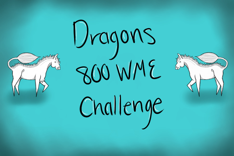 Dragons 800 WME Challenge
