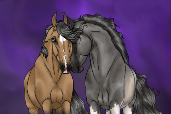Horse Couple