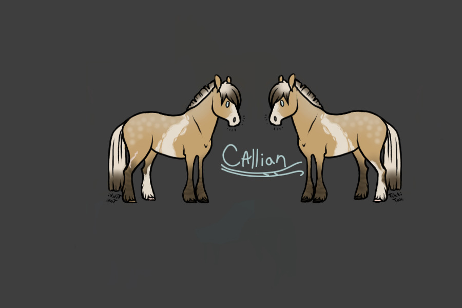 Callian Horse Ref Sheet