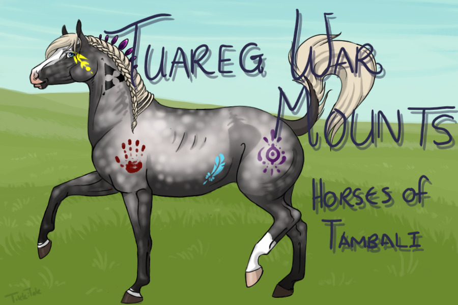 Tuareg War Mounts; Horses of Tambali