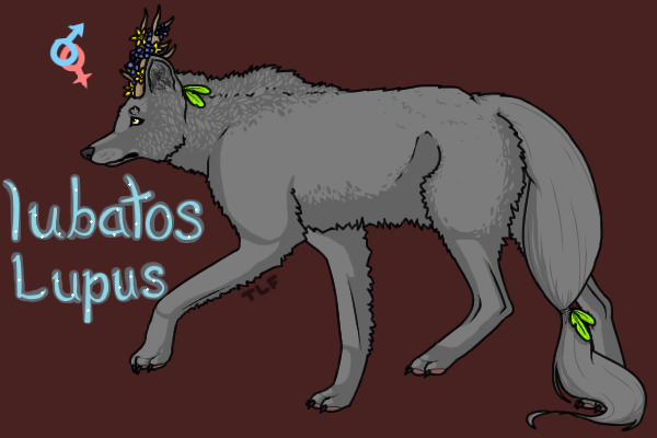 Iubatos Lupus 2.0 (revamped)